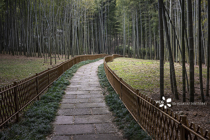 穿过竹林的道路图片素材