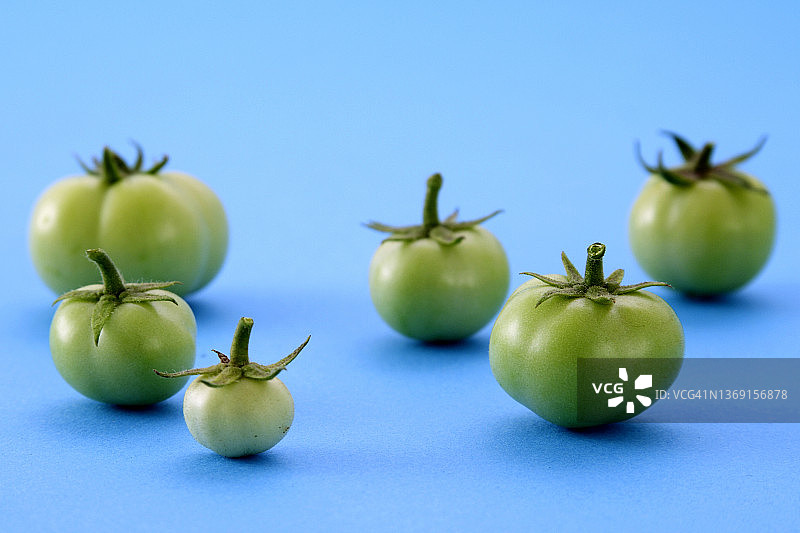 蓝色背景上的绿色生番茄图片素材