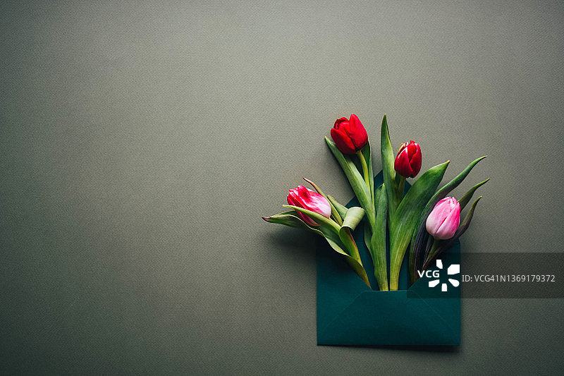 灰色背景与粉色郁金香信封：花卉、复活节、三八妇女节、母亲节、情人节图片素材