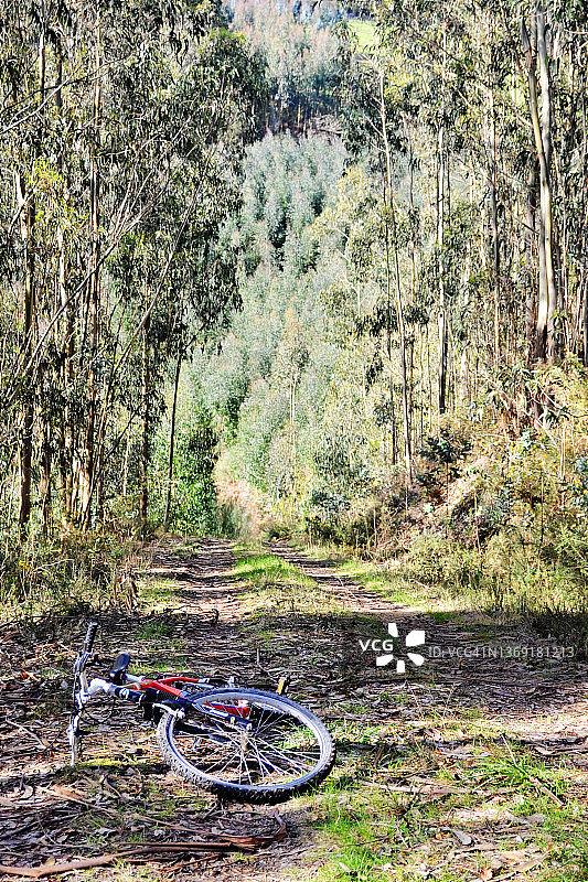 山地自行车图片素材