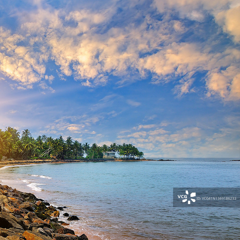 热带海滩棕榈树上美丽的日出图片素材