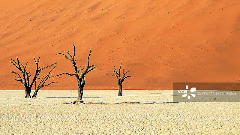 纳米比亚死亡谷图片素材
