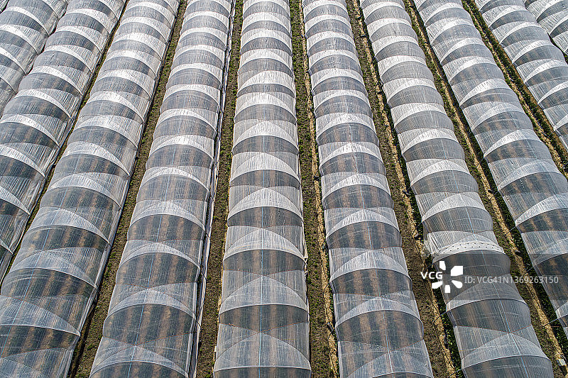 德国黑森州农作物大棚航拍图片素材