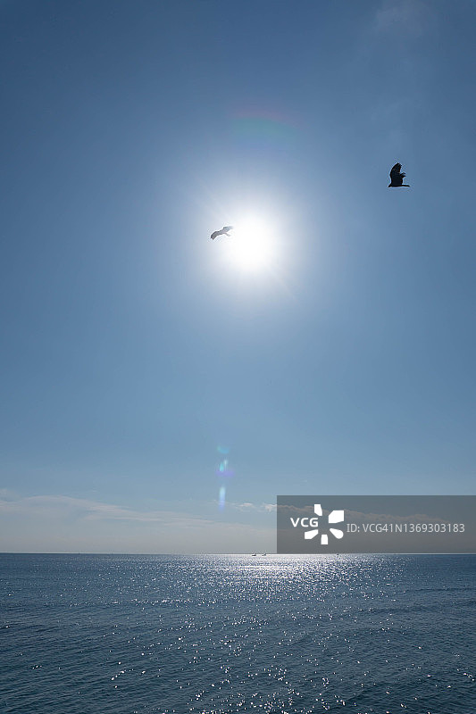 在日本神奈川海滩上空飞翔的风筝图片素材