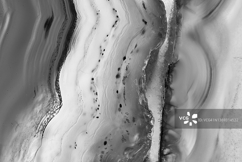 黑白现代仿生流体画图片素材