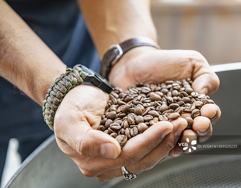 咖啡烘焙师在检查新鲜烘焙的咖啡豆图片素材