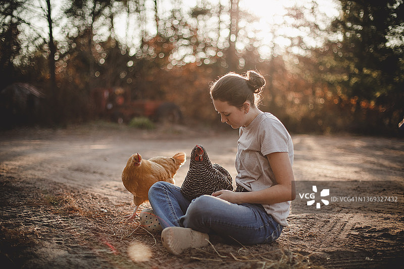 女孩坐在泥土车道上，周围是鸡图片素材