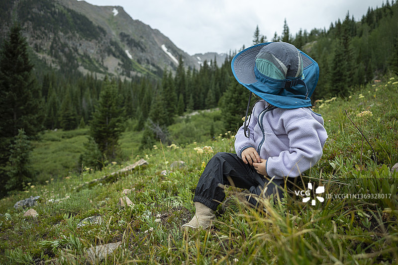 科罗拉多州雄鹰巢荒野的家庭露营之旅图片素材