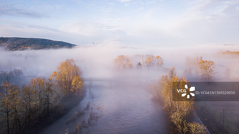 华盛顿雾蒙蒙的早晨：阳光明媚的秋色图片素材