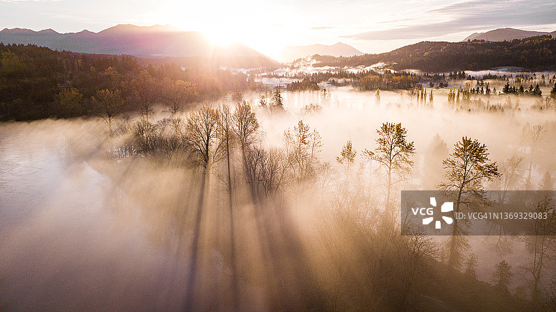 华盛顿雾蒙蒙的早晨：阳光明媚的秋色图片素材