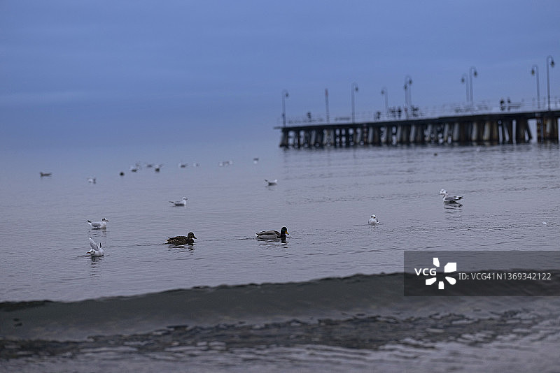 波兰格丁尼亚奥尔沃冬季木制码头图片素材