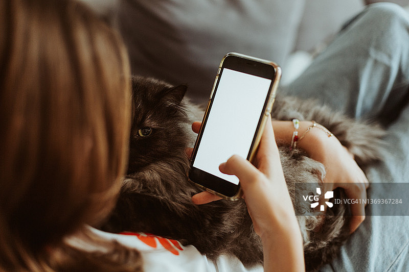 沙发上的女孩与猫咪玩手机图片素材