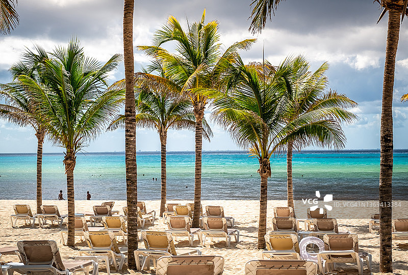 墨西哥卡门海滩的椰子树热带风光图片素材