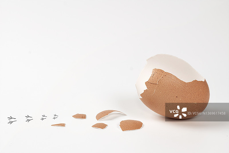 白色背景上的一只破壳小鸡图片素材