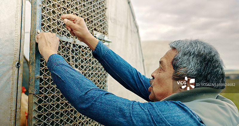 这张照片拍摄的是一名在鸡舍工作的男子图片素材