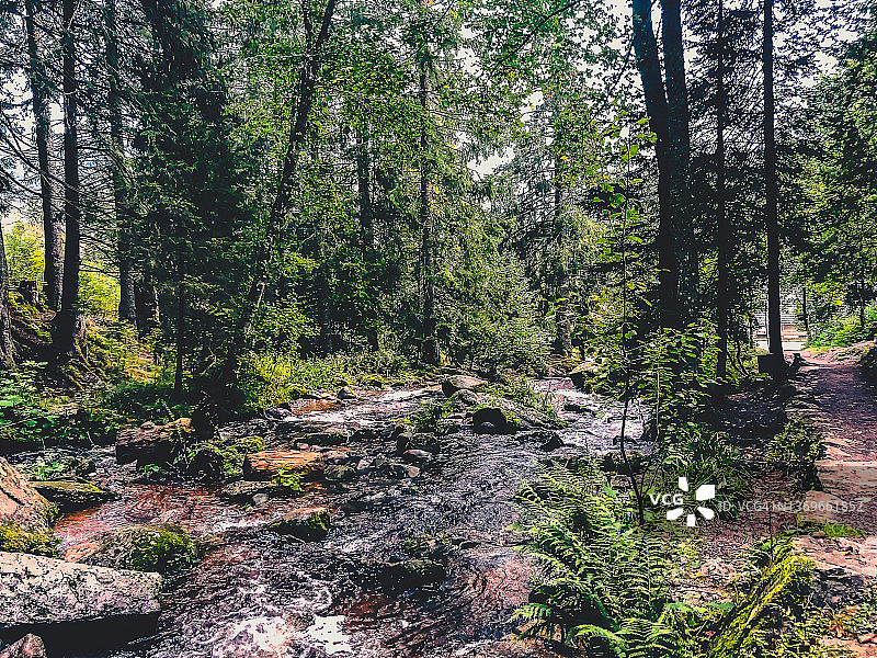 穿过黑森林的河流图片素材