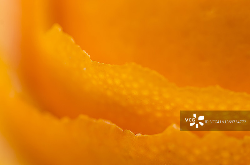 橙皮图片素材