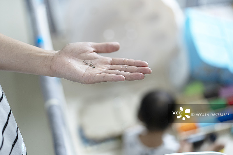 特写：蚊子尸体与玩耍的母女居家生活图片素材