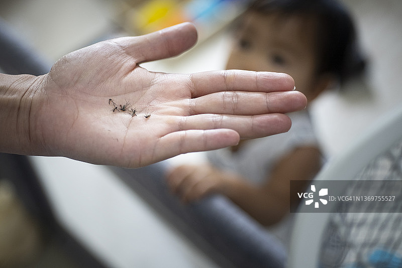 特写：蚊子尸体与玩耍的母女居家生活图片素材