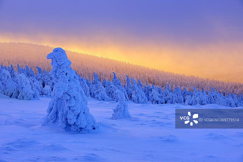 德国哈尔茨国家公园布罗肯峰日出图片素材