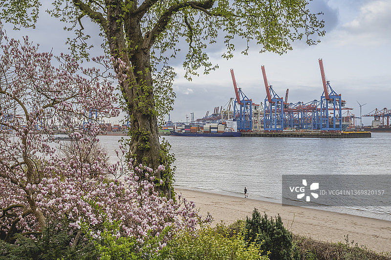德国汉堡：奥特马尔申春季滨水区，背景是汉堡港的起重机图片素材