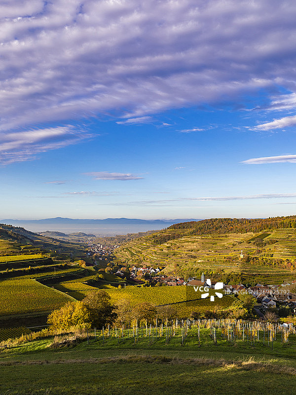 德国巴登-符腾堡州弗格茨堡凯撒施图尔山脉环绕乡村小镇的葡萄园图片素材
