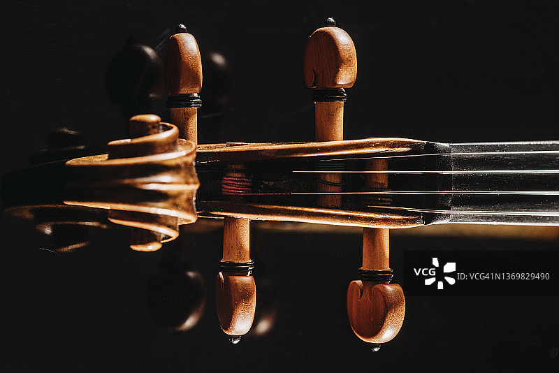 小提琴琴头和调音栓的影棚照片图片素材