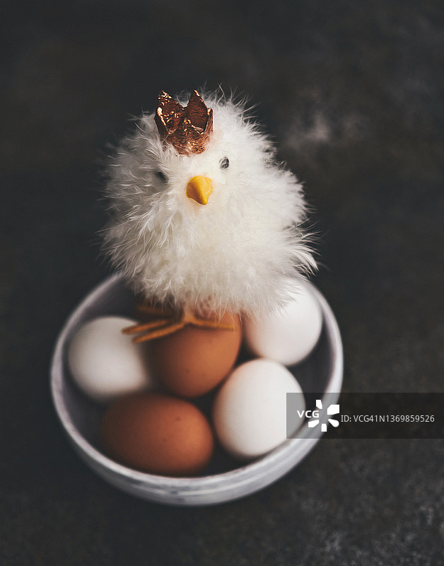 戴着皇冠站在一碗新鲜有机鸡蛋上的可爱蓬松小鸡图片素材