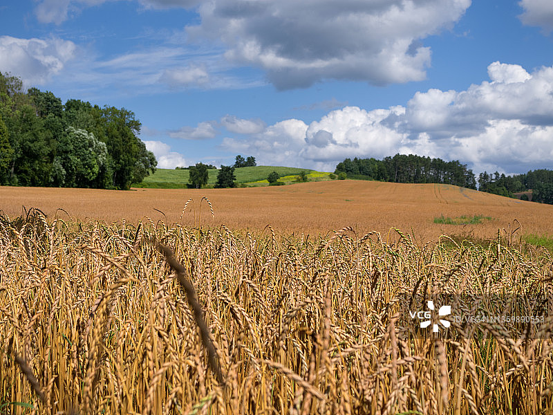 宁静的夏日风光图片素材