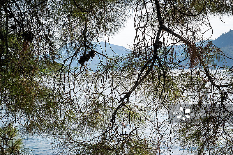 土耳其马尔马里斯和伊奇梅勒附近的地中海沿岸夏日风光图片素材