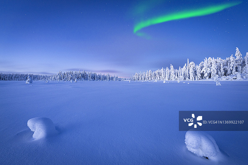 拉普兰黄昏时分冰冻的树木上的北极光图片素材