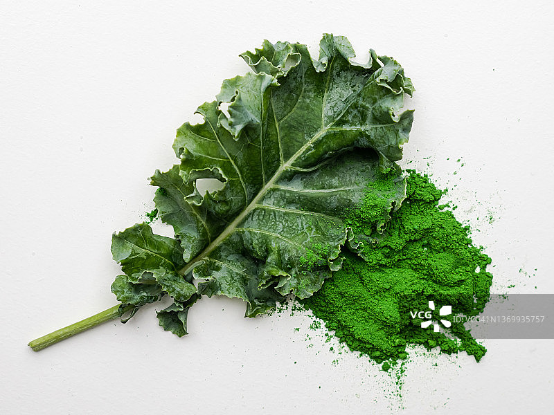 白色背景下的羽衣甘蓝绿叶和羽衣甘蓝粉图片素材