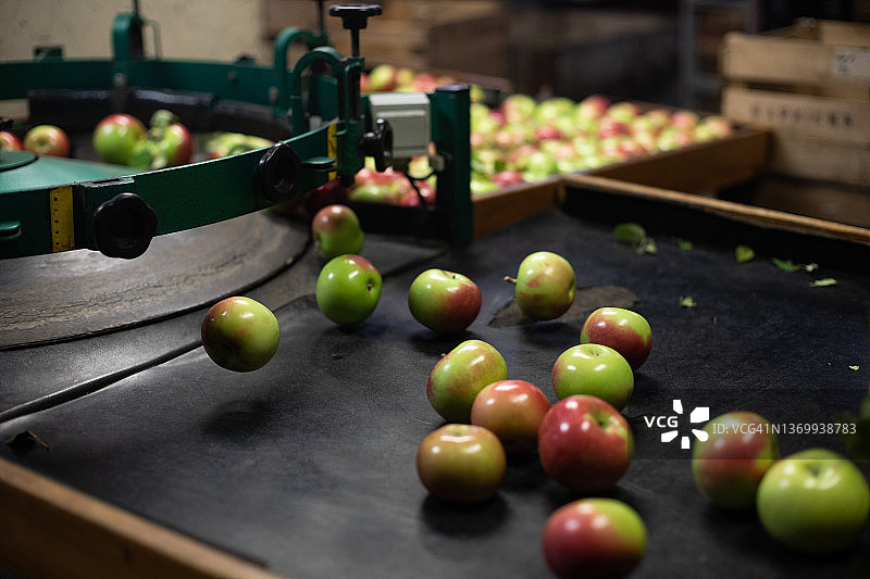 苹果丰收图片素材