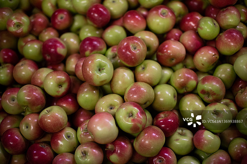 苹果丰收图片素材
