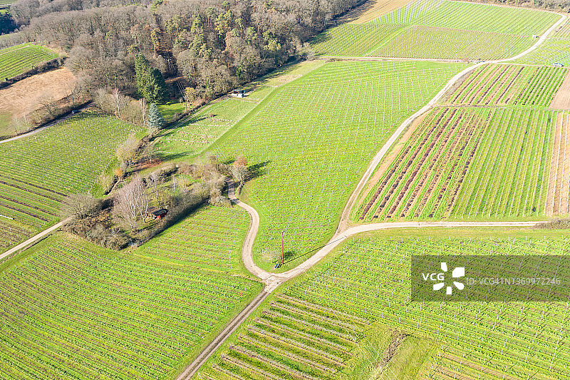 葡萄园鸟瞰图图片素材