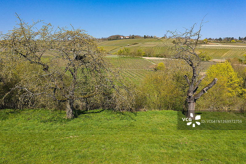 德国威斯巴登附近的春醒图片素材