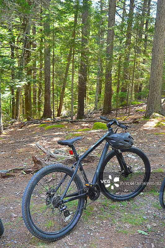缅因州阿卡迪亚国家公园的马车道图片素材