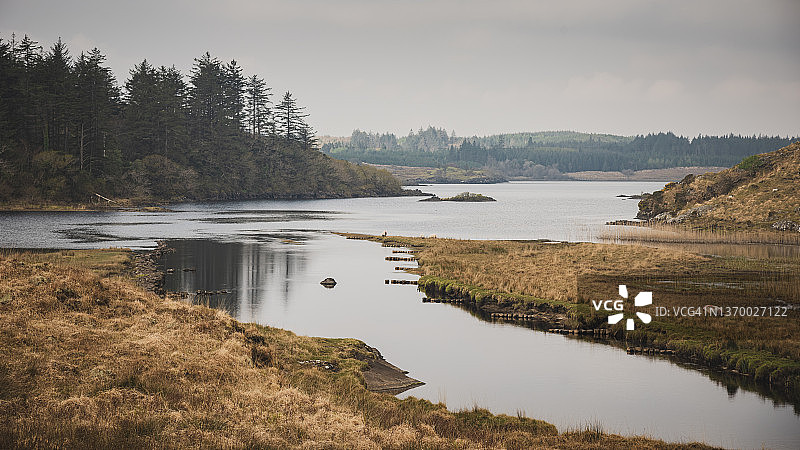 爱尔兰戈尔韦郡康尼马拉乡村的绵羊景观图片素材
