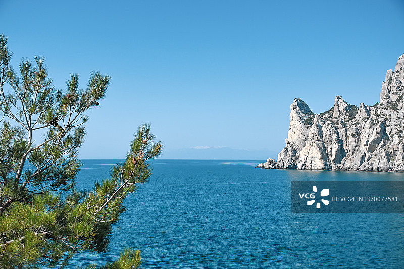 山海背景下的树枝图片素材