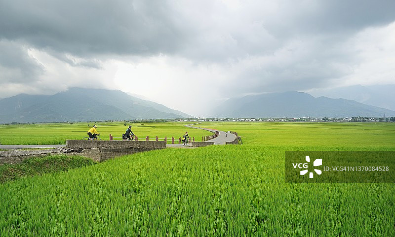 在布朗大街骑自行车图片素材