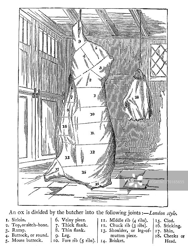 牛肉各部位古老雕刻插图图片素材