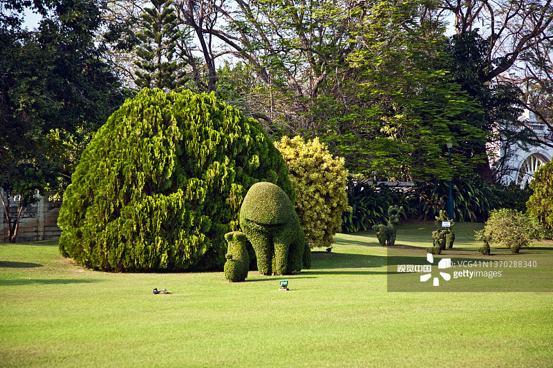 邦芭茵公园里修剪成动物形状的灌木图片素材