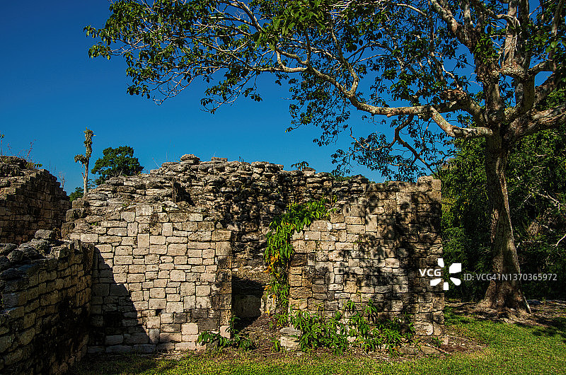 科洪利奇，金塔纳罗奥州，墨西哥图片素材