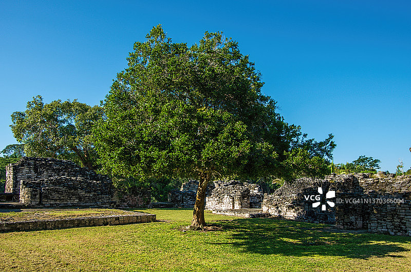 科洪利奇，金塔纳罗奥州，墨西哥图片素材