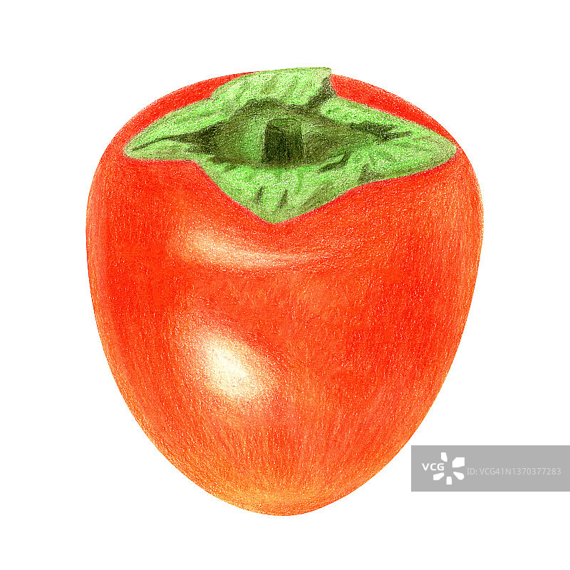 多汁的成熟柿子图片素材