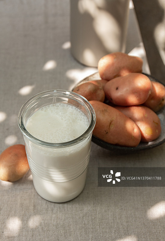 花园餐桌树影下的健康素食土豆奶饮品图片素材