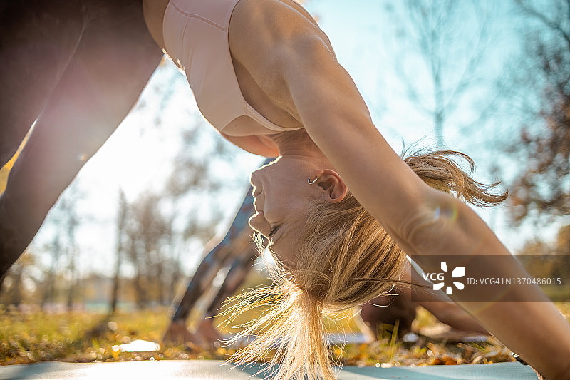 女子与朋友在公园里做下犬式瑜伽图片素材