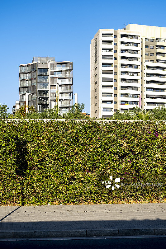 垂直花园图片素材