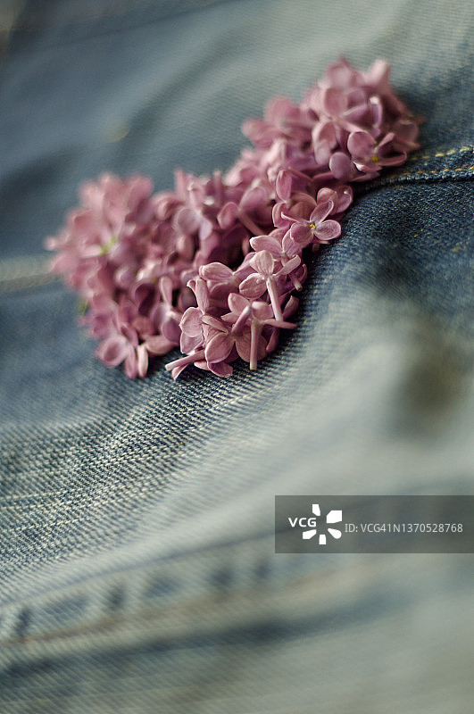 牛仔裤上的紫色花朵图片素材