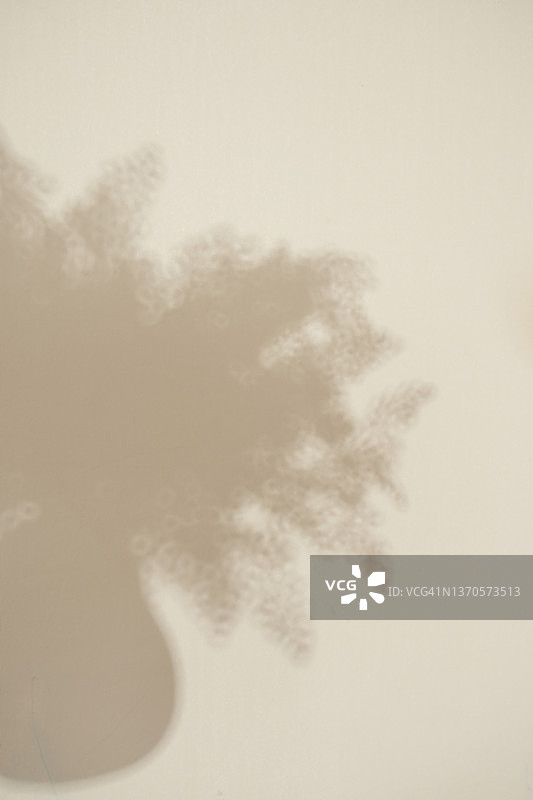 花瓶在墙上投下的柔和阴影图片素材